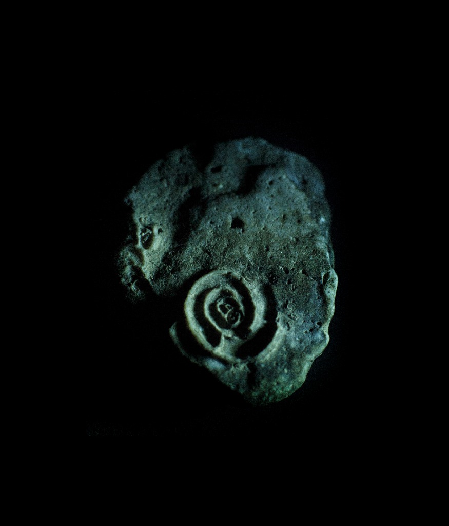To Drown a Stone — Spiral Fossil